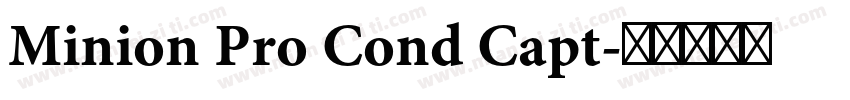 Minion Pro Cond Capt字体转换